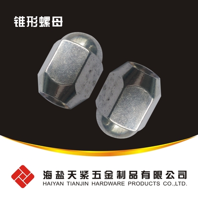 QC306汽車螺母