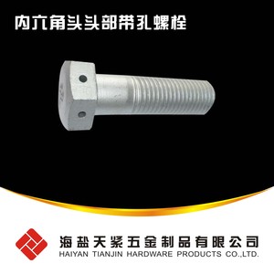 QC 170 六角头带孔螺栓
